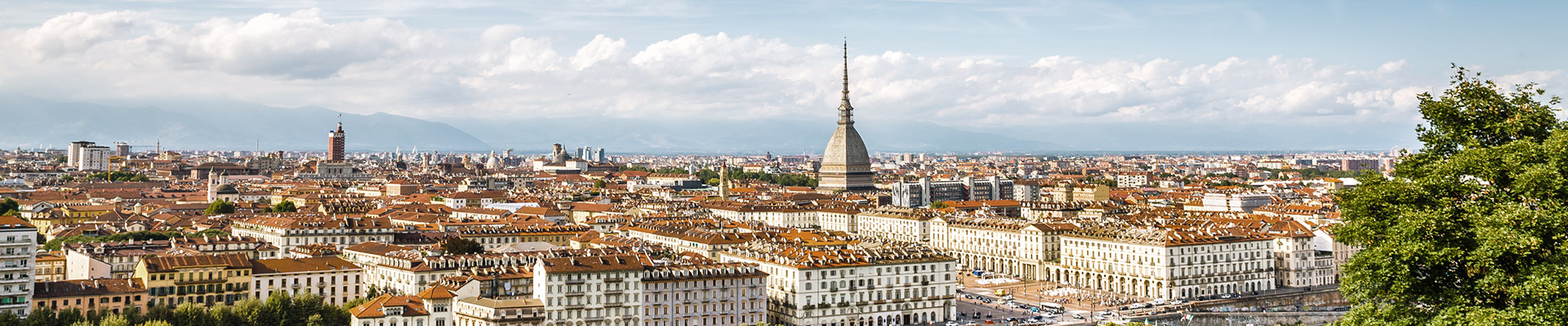 Consulenza d'Impresa - Dove Siamo