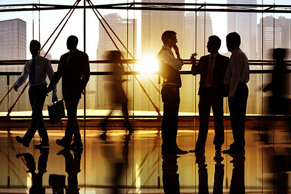 CONSULENZA DEL LAVORO