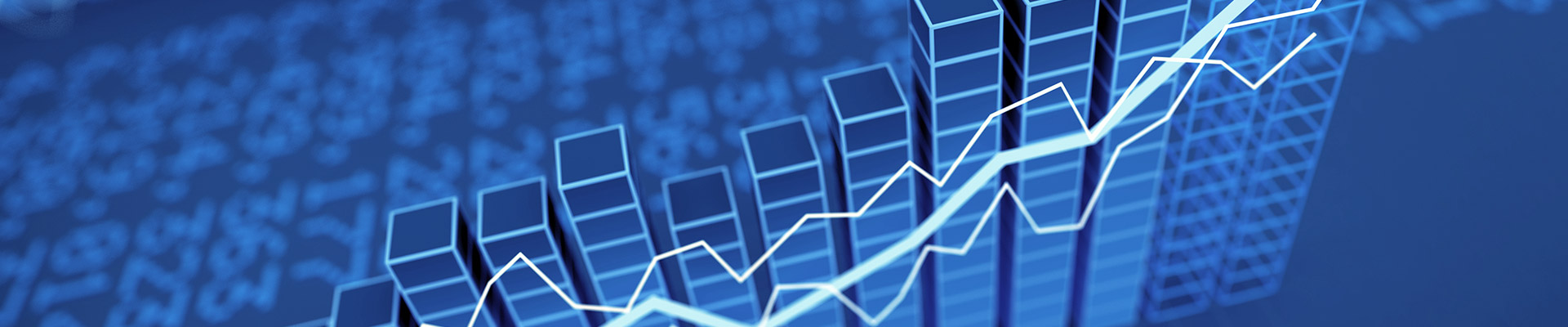 Balance sheet auditing and certification Balance sheet auditing and certification