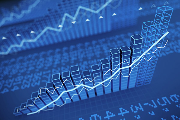 BALANCE SHEET AUDITING AND CERTIFICATION